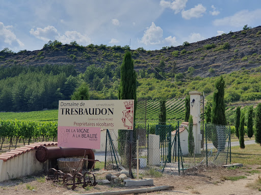 De la vigne a la Beauté